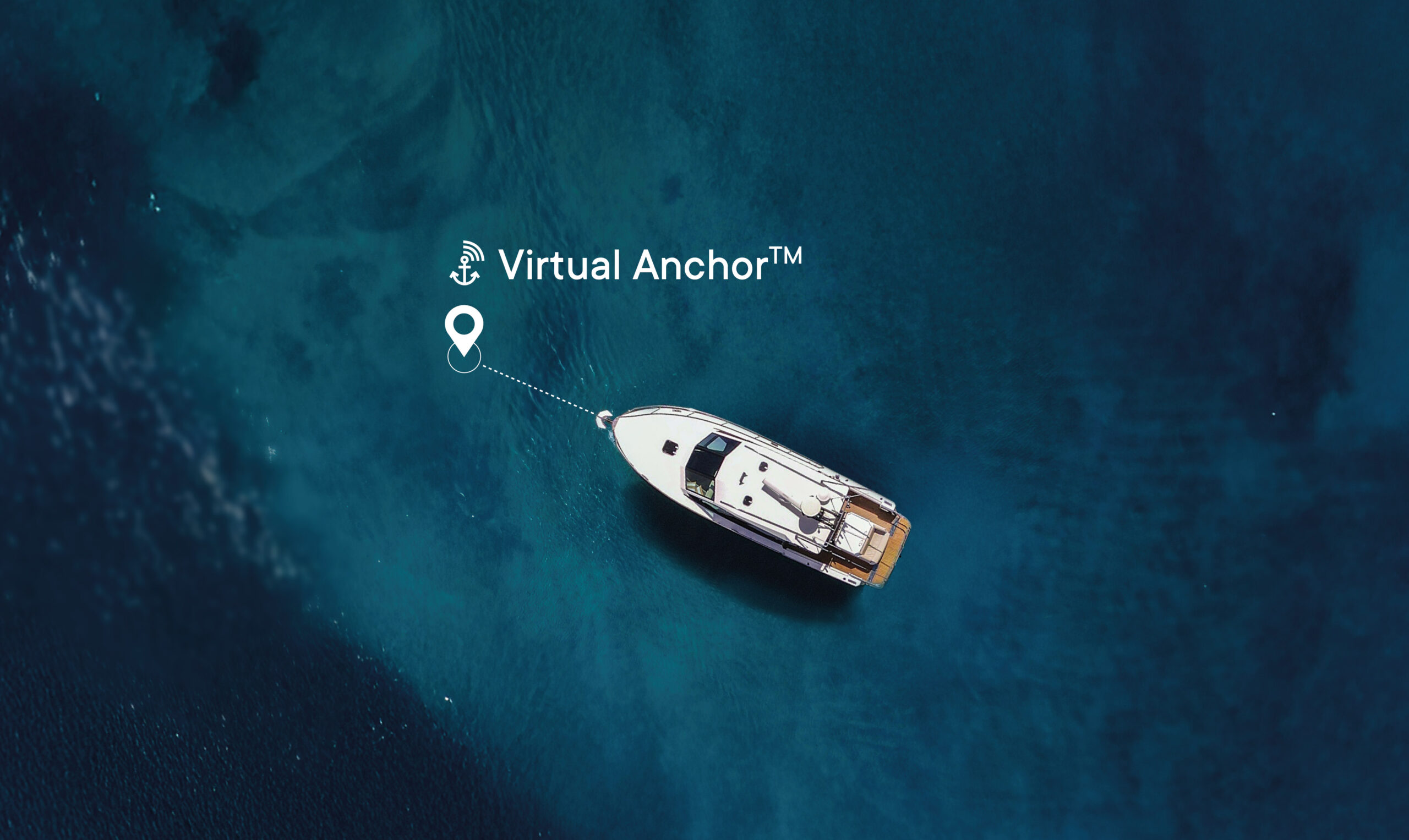 Virtual Anchor