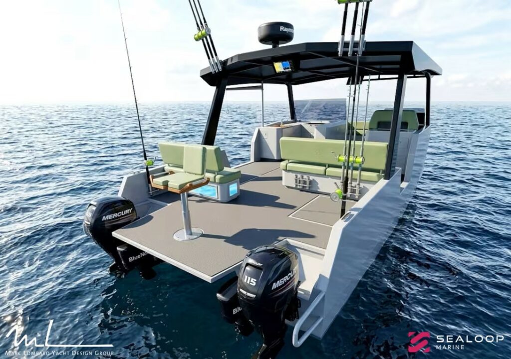 Loopia 290 hybride peche